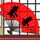 神雕侠侣